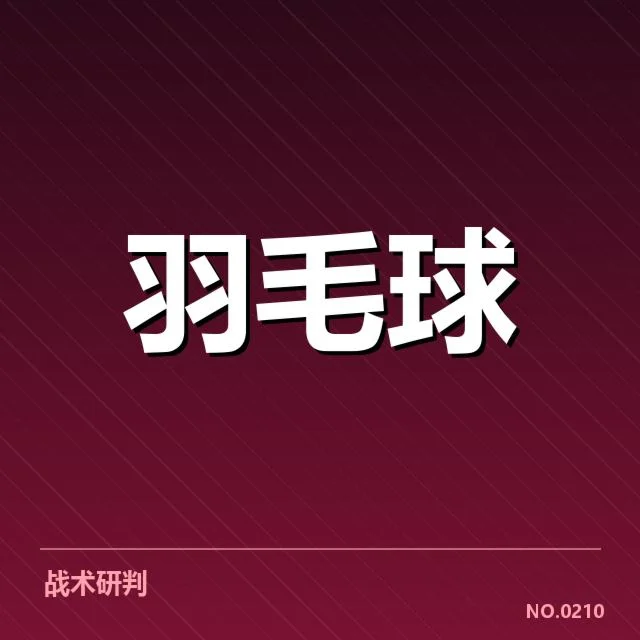 混双羽毛球集训阵容公布：球队组合实力与调整动向