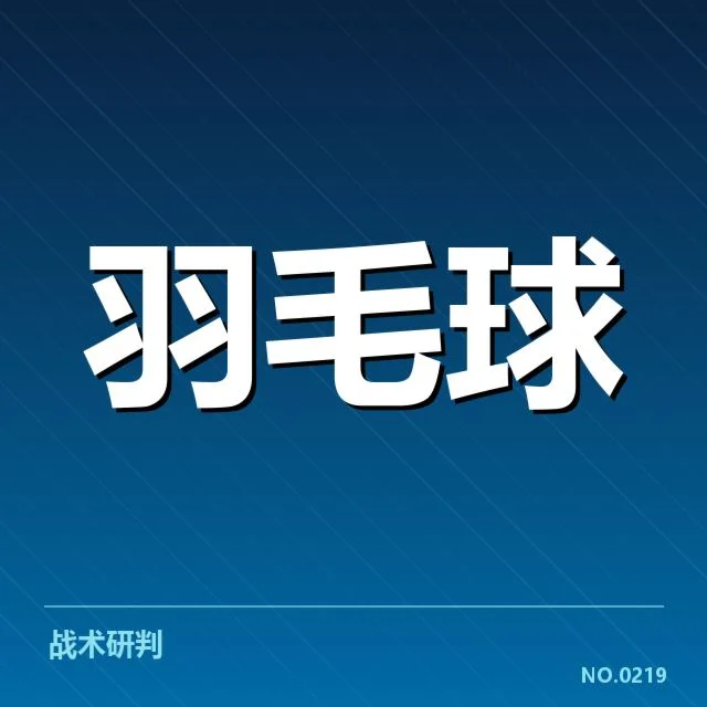 确认的混双组合与训练安排细节